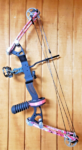 Alpine Archery Rookie Compound Bow 1