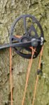HOYT INVICTA
