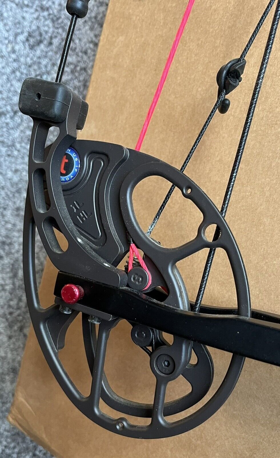 Mathews Conquest Triumph 8